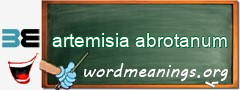WordMeaning blackboard for artemisia abrotanum